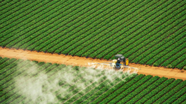 Best Best Pest Control Companies  in La Grange, TX