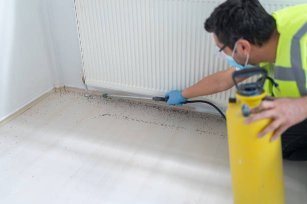 Wasp Removal Services in La Grange, TX